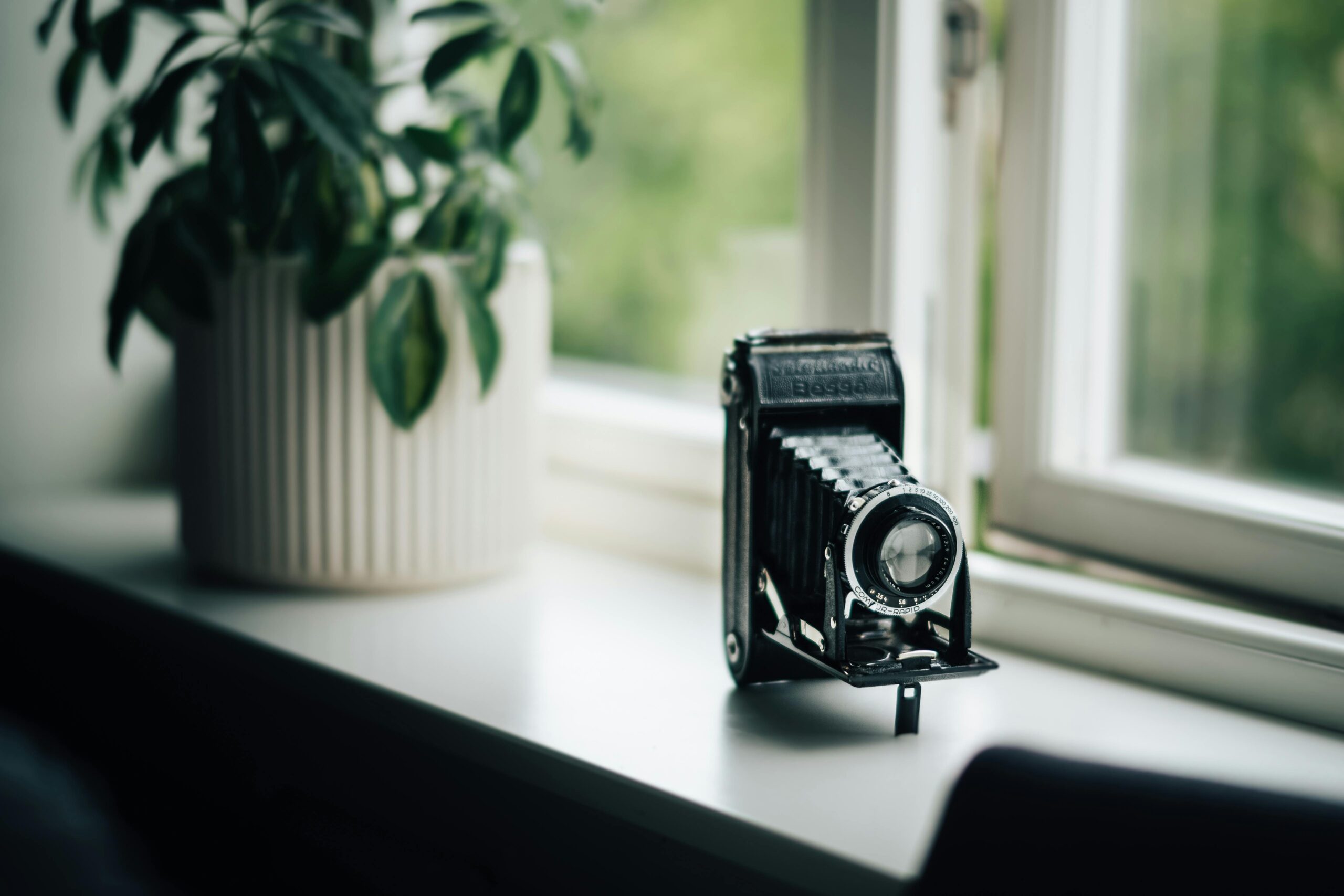 rodeo project management software ONe snuCaqQ unsplash